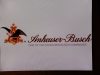 jb7_8739